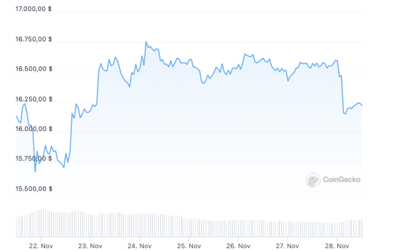 Bitcoin course