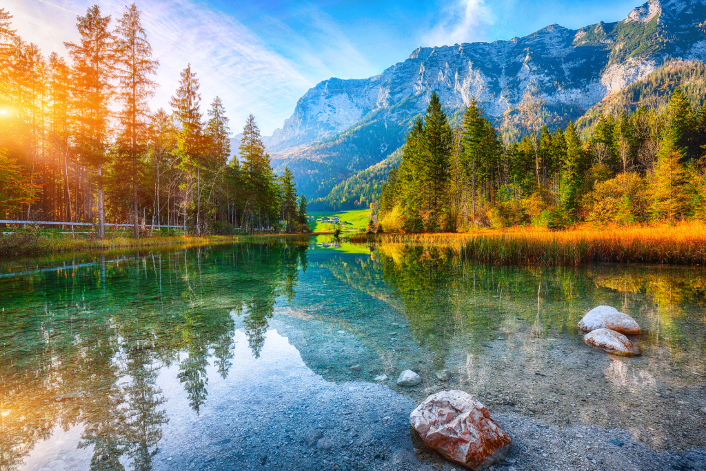 IMPT-many-solutions-for-climate-protection