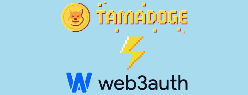 Tamadoge Web3auth Partnerschaft 