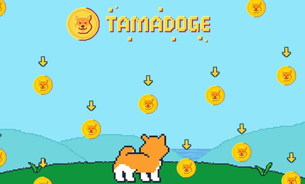 Spannende Neuerungen bei TAMA Start der Tamadoge Arena, TAMA NFTs und bedeutsames Token-Burning vor neuen Tamadogi App